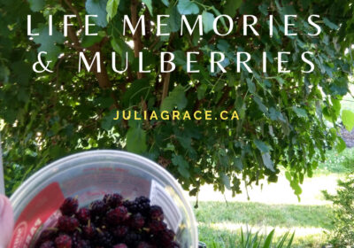 Life Memories and Mulberries