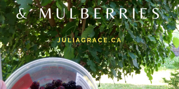 Life Memories and Mulberries