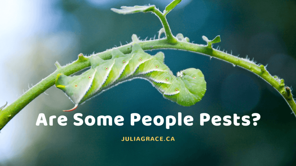 Are some People Pests in your life?