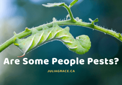 Are Some People Pests In Your Life?