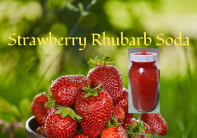 Fizzy & Fresh – Fermented Strawberry Rhubarb Soda
