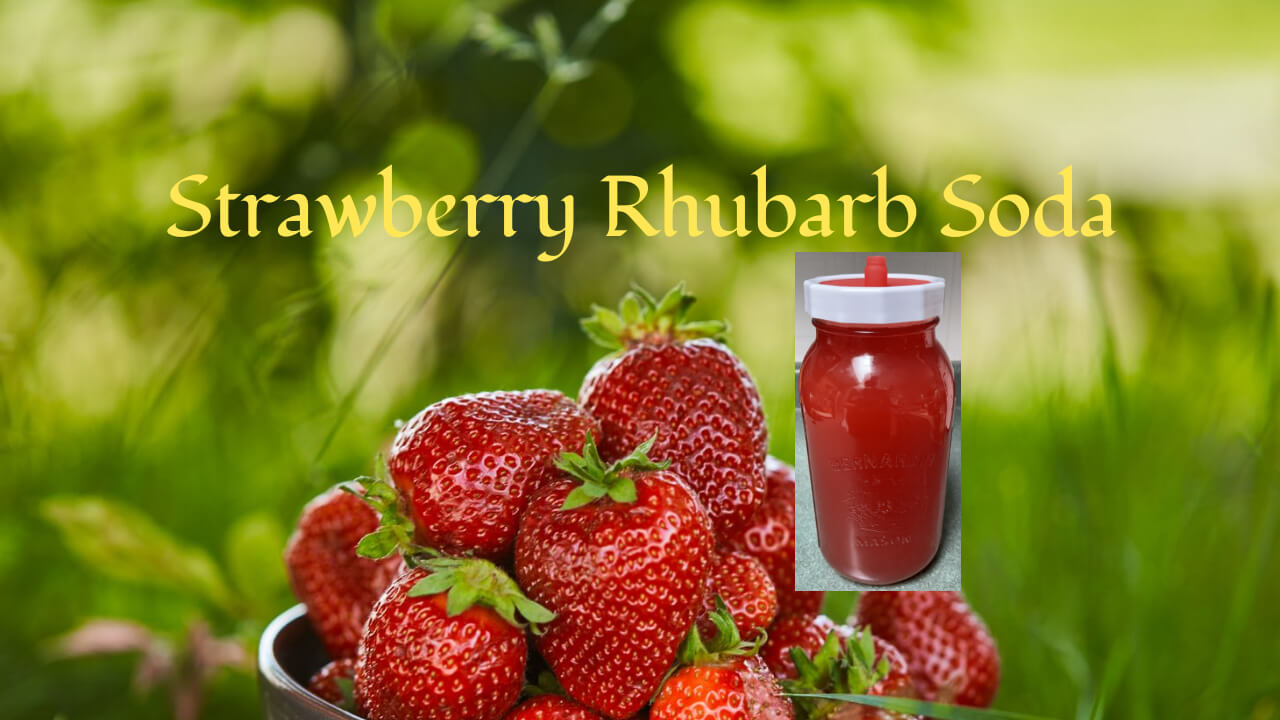Fizzy &amp; Fresh – Fermented Strawberry Rhubarb Soda